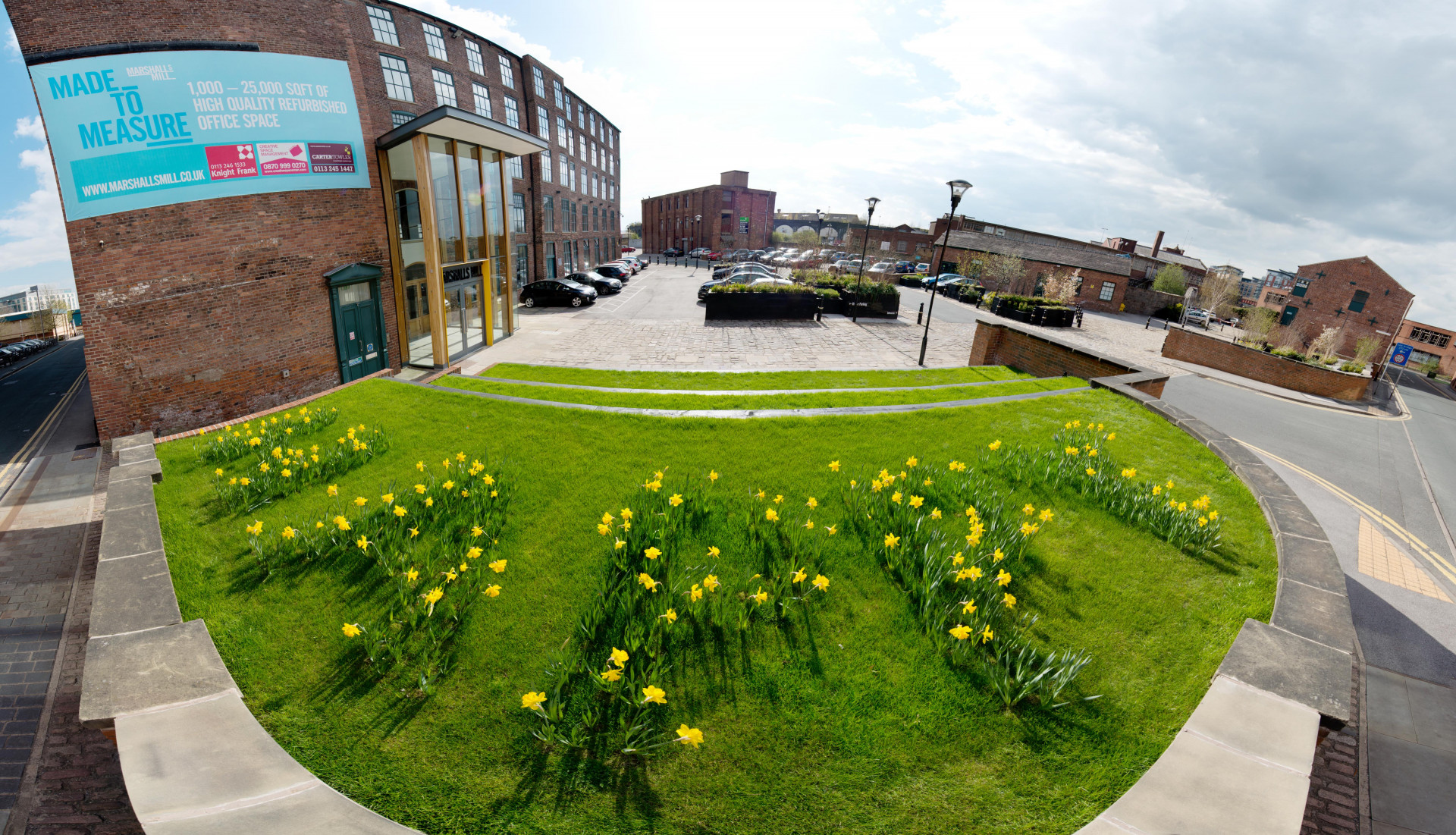 Fisheye-esque Panorama of specially planted daffodils spelling out 
